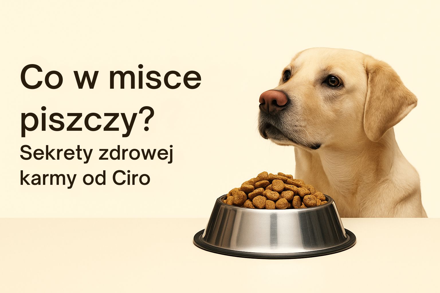 Co w misce piszczy? Sekrety karmy od CIRO.